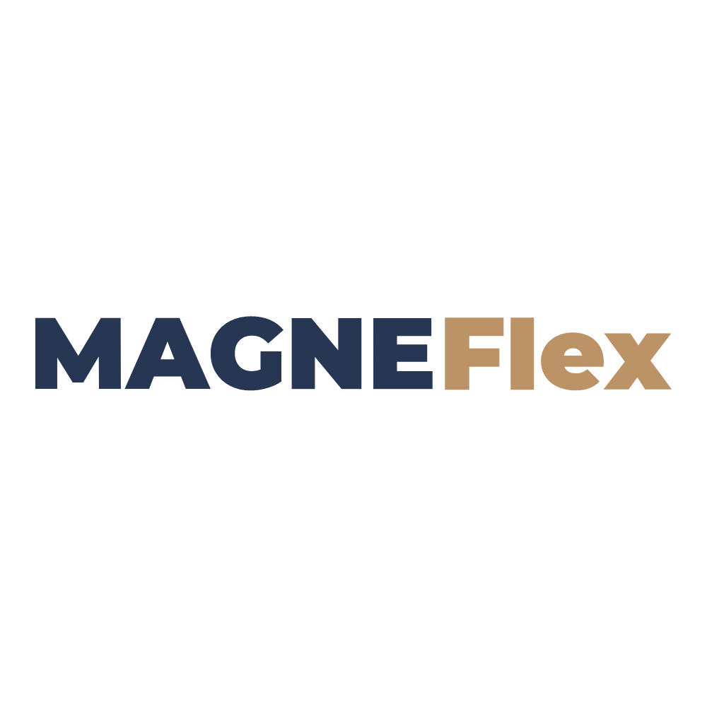 MagneFlex_zils.png